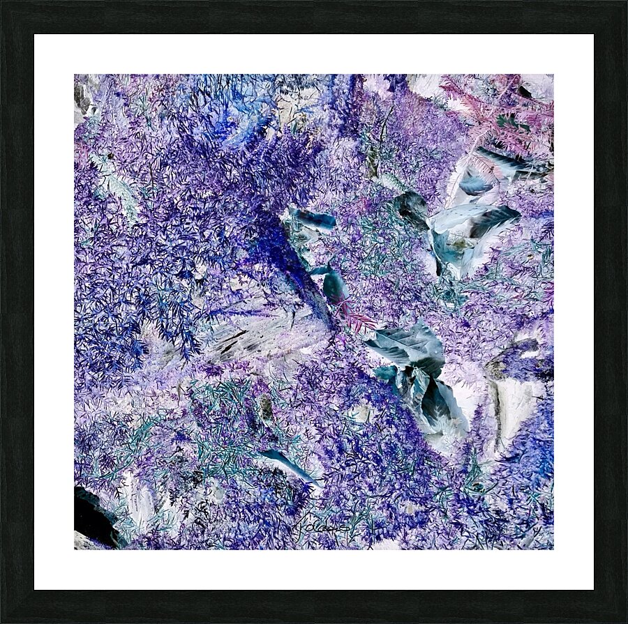Violet Picture Frame print