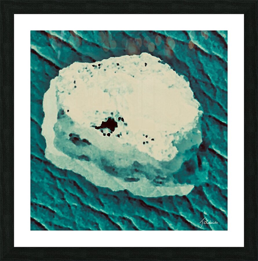 Capture 2 Picture Frame print