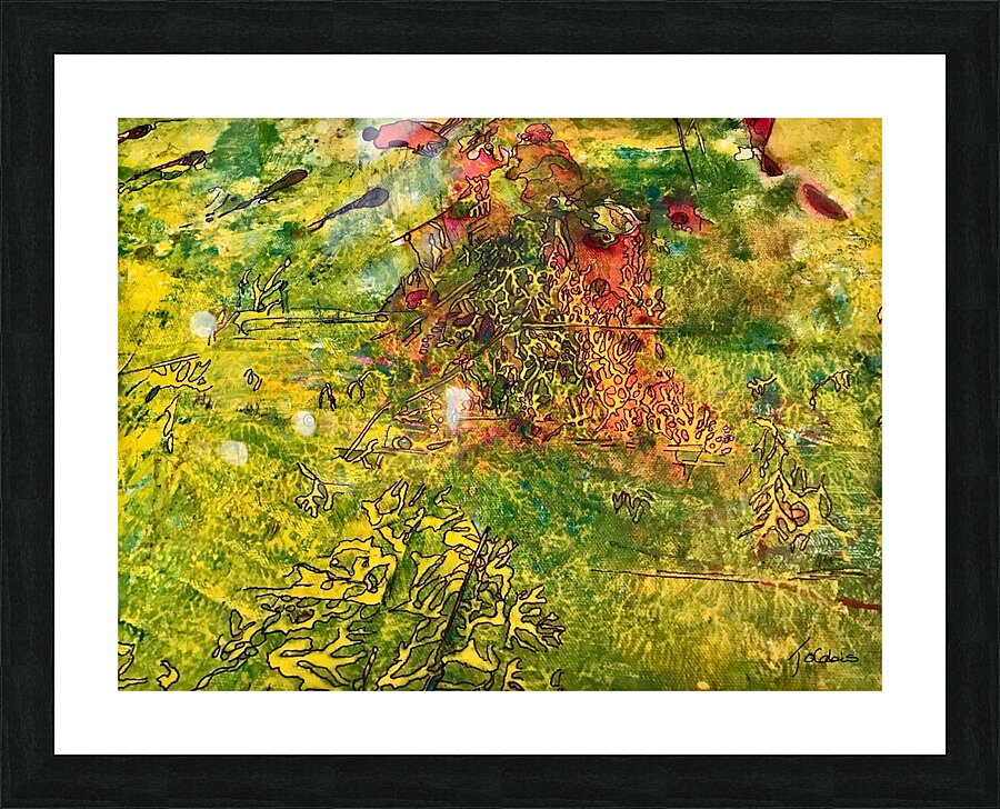 Corail Picture Frame print