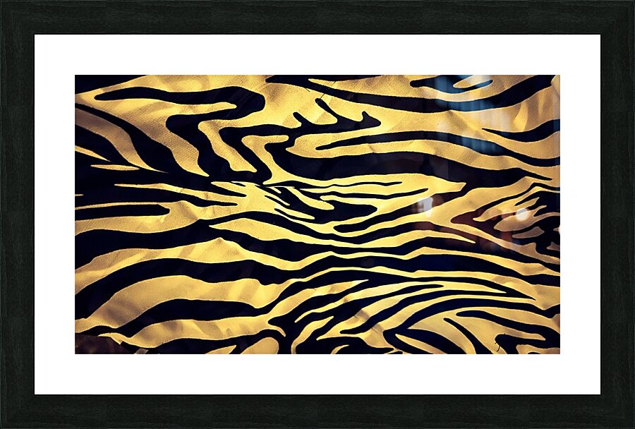 Zebre Picture Frame print