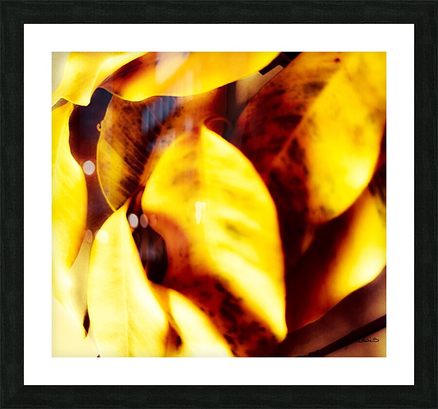 Solidarite entre elles  Picture Frame print