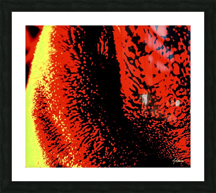 Pelucheux  Picture Frame print