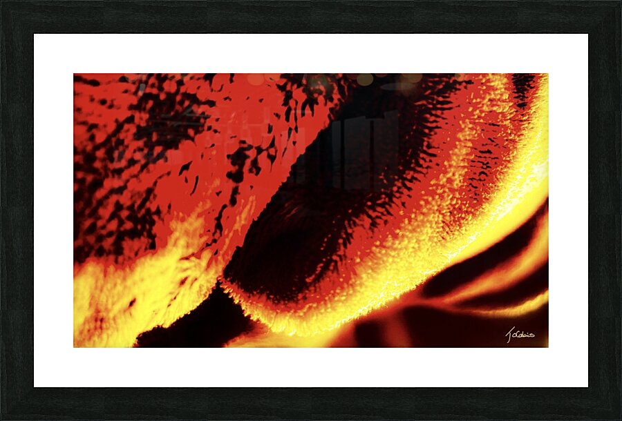 Peluche  Picture Frame print