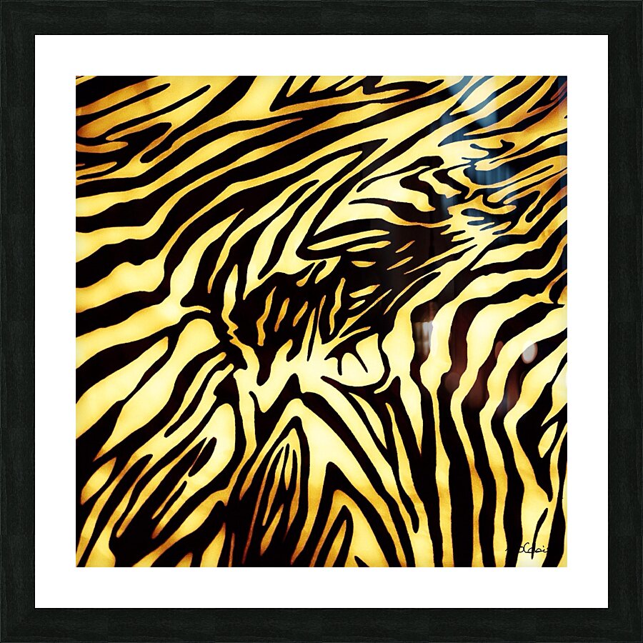 Zebrures II Picture Frame print