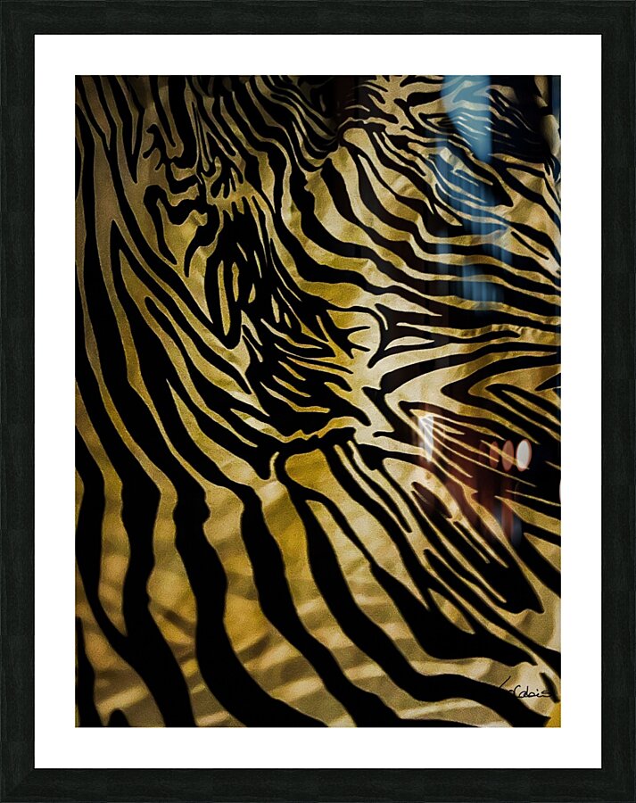Zebrures III Picture Frame print