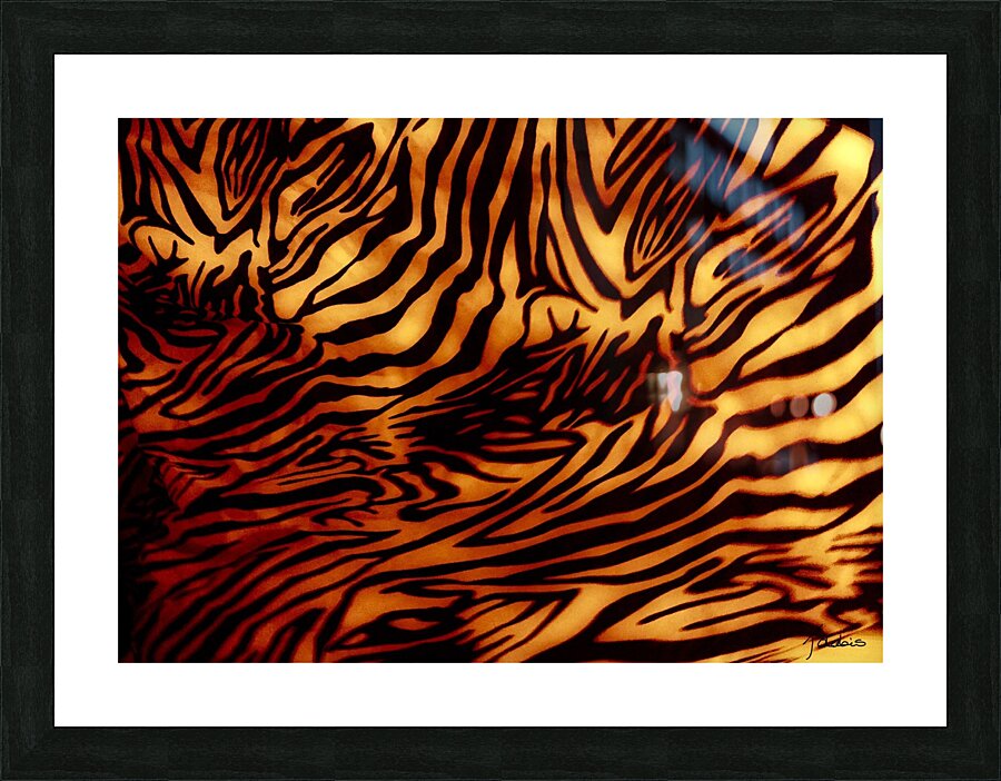 Zebrures IV Picture Frame print