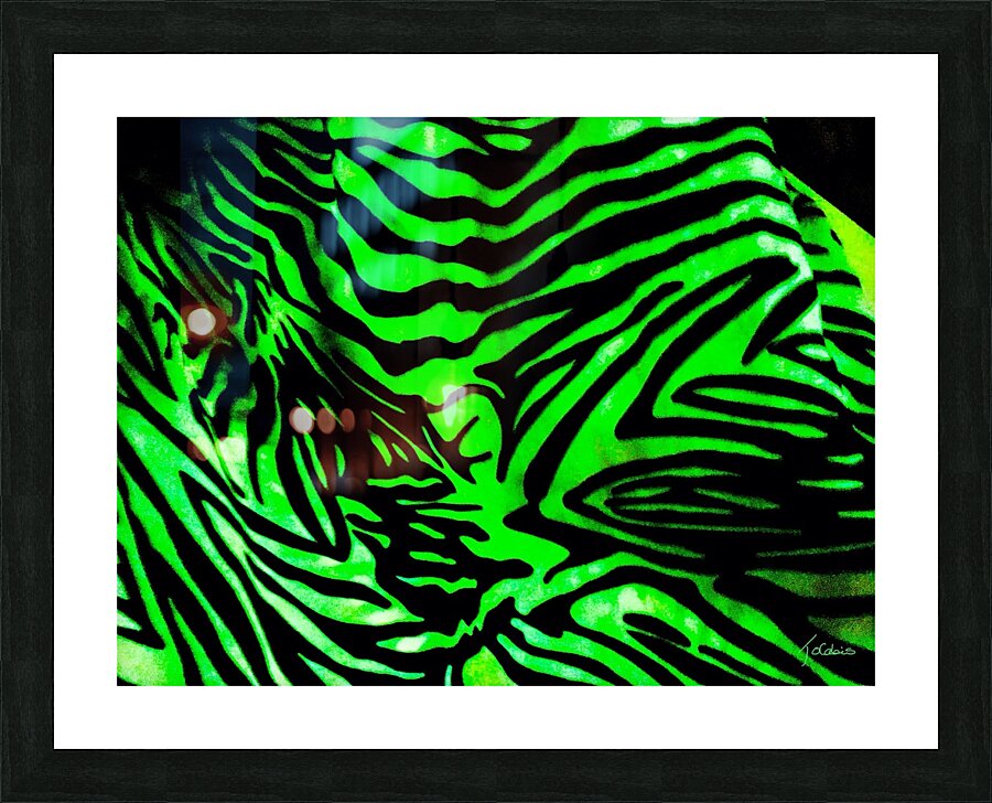 Zebrures V Picture Frame print