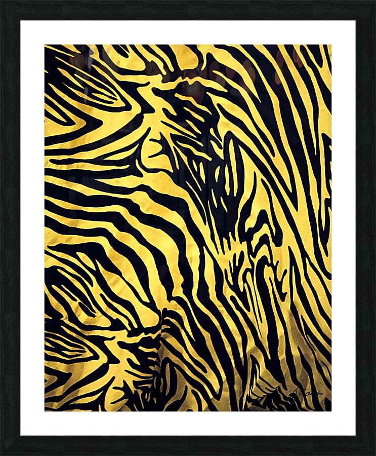 Zebrures IX Picture Frame print