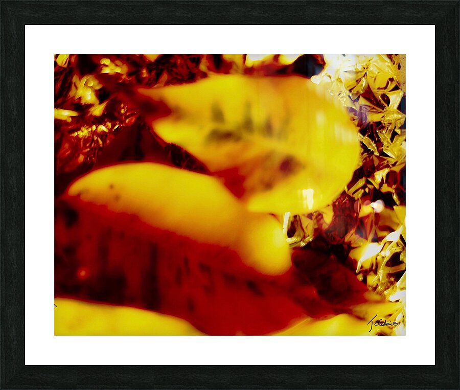 La chute II Picture Frame print