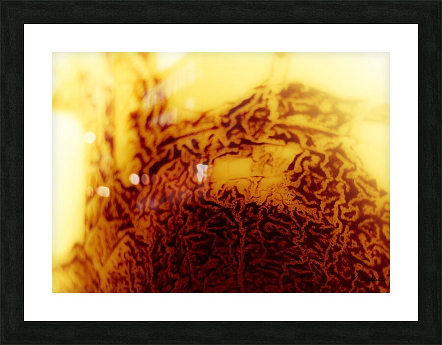 Chico Picture Frame print