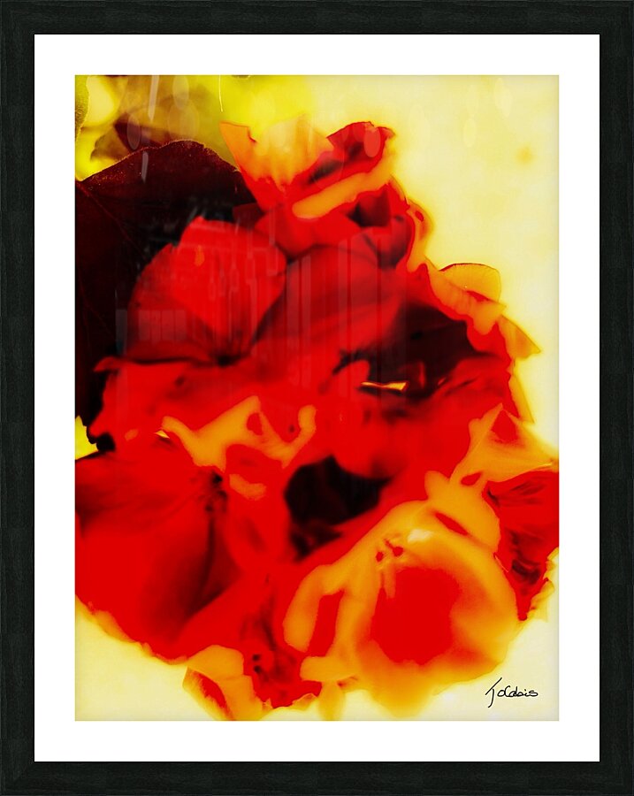 Flores  Picture Frame print