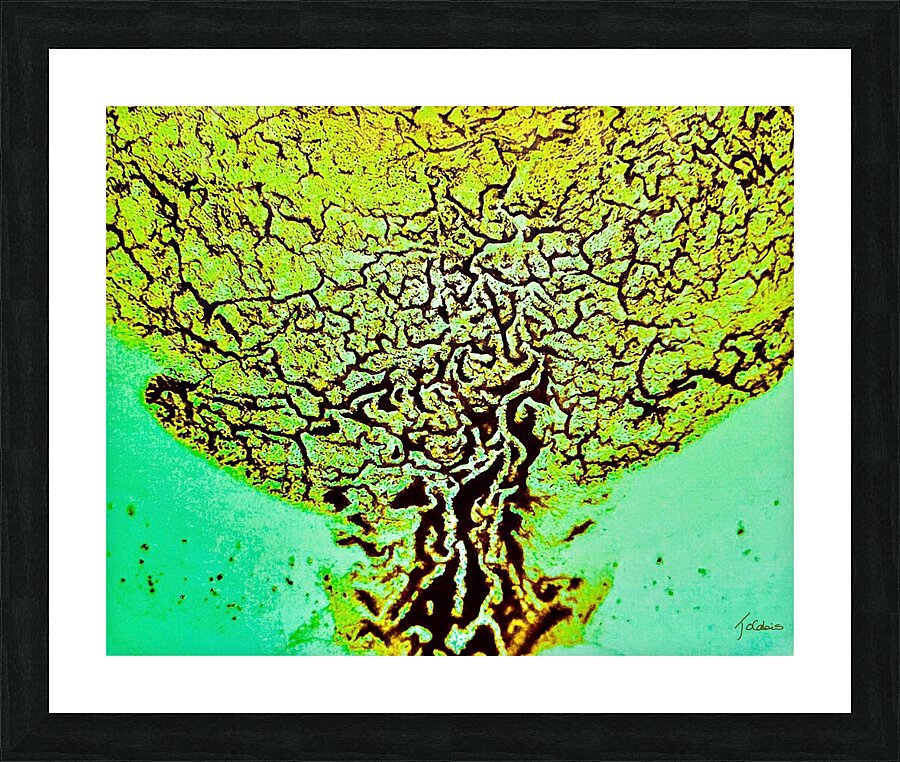 Vasculaire  Picture Frame print