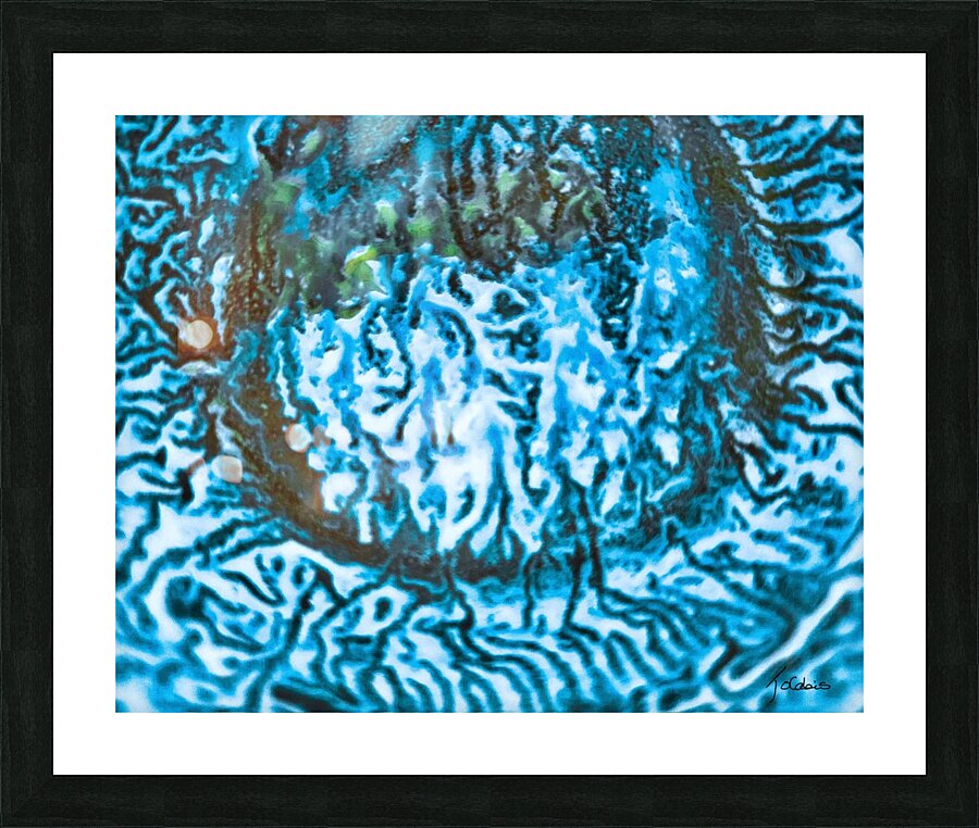 Sillons  Picture Frame print