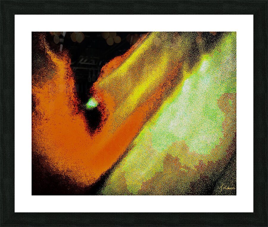 Roussin  Picture Frame print