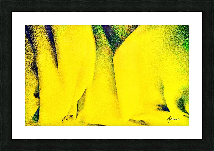 Douillet  Picture Frame print