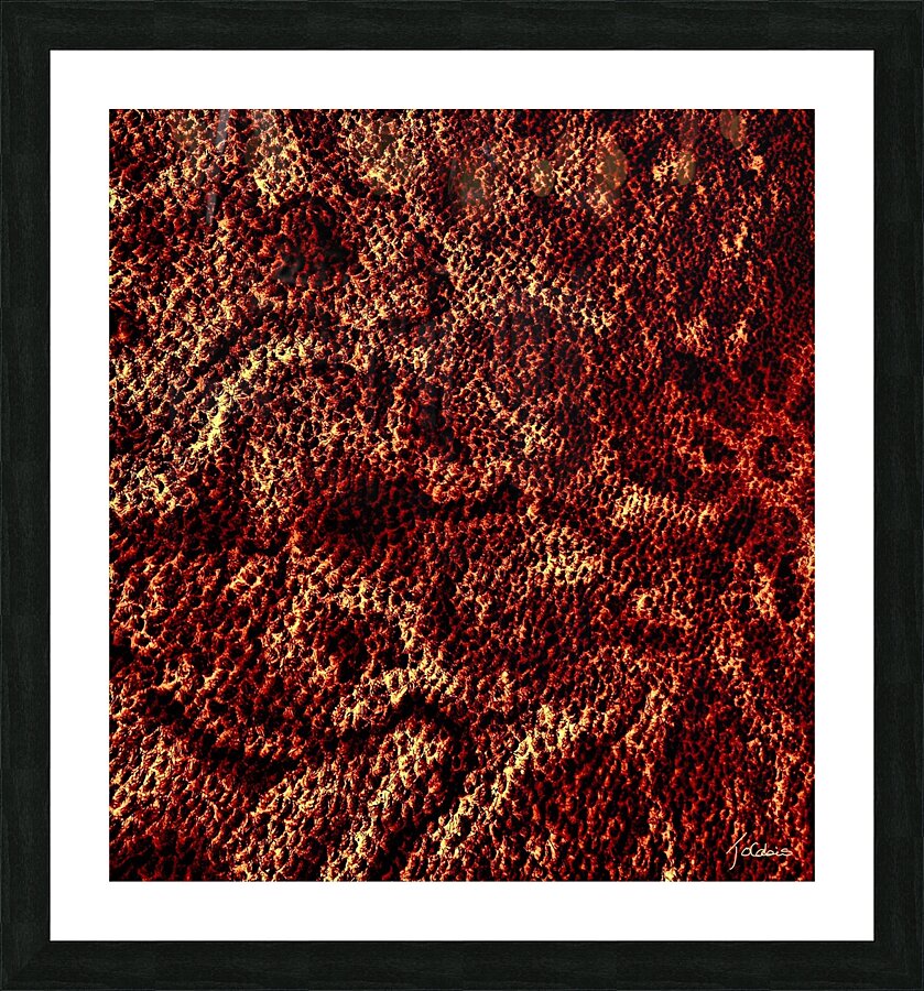 Sinueux  Picture Frame print