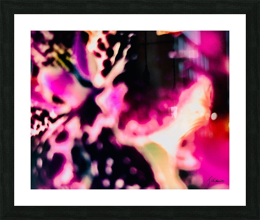 Mauve orchidee  Picture Frame print