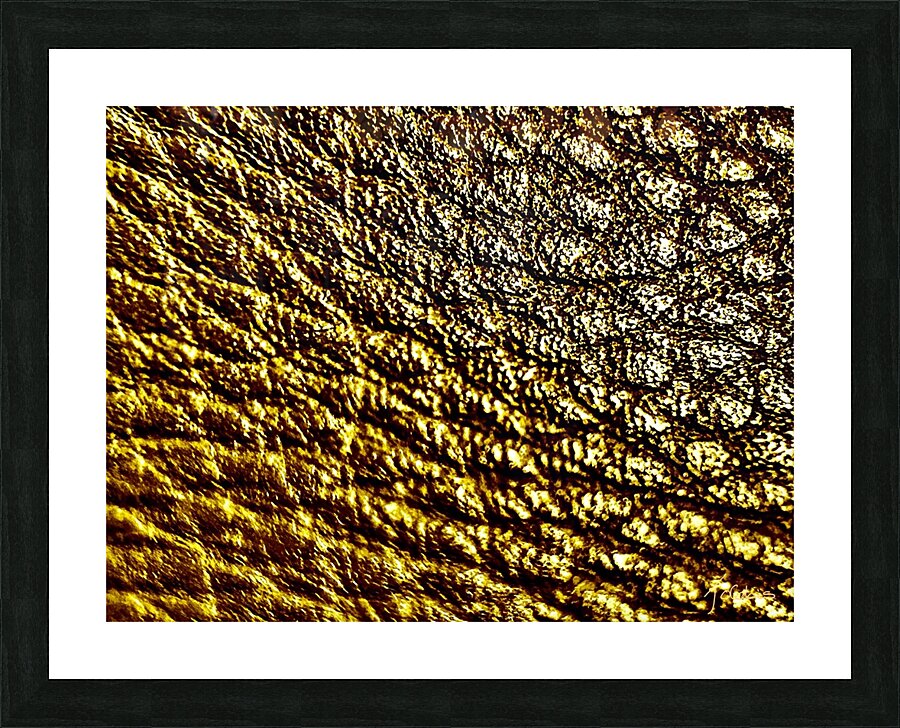 Craquelures  Picture Frame print