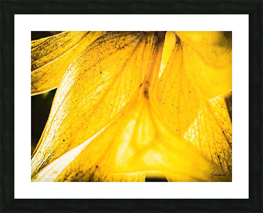 Eternelles Picture Frame print