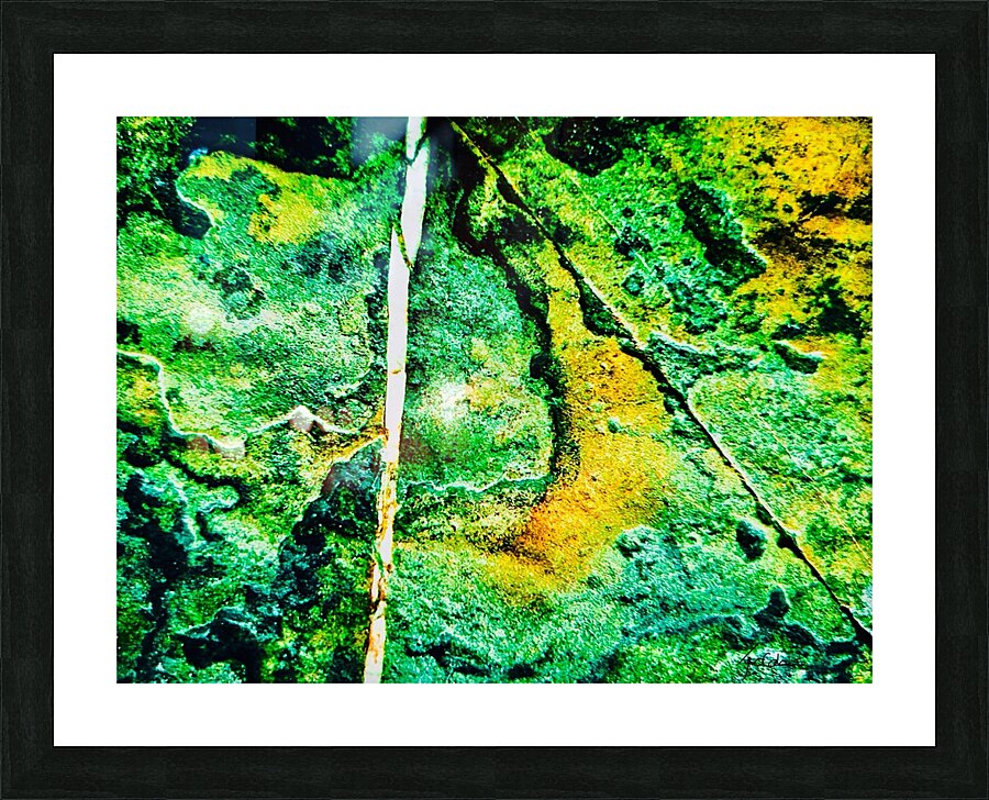 Pierre eponge Picture Frame print