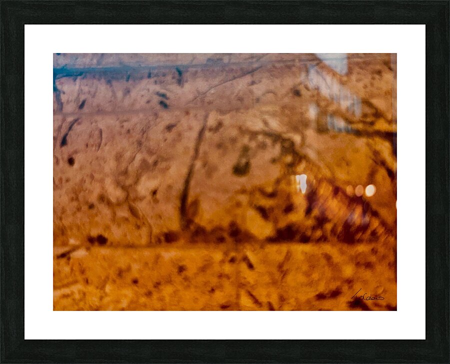Fossiles  Picture Frame print