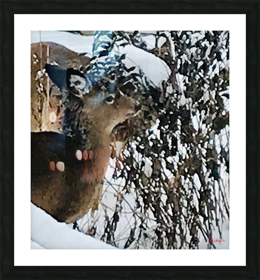 Cerf gourmand  Picture Frame print