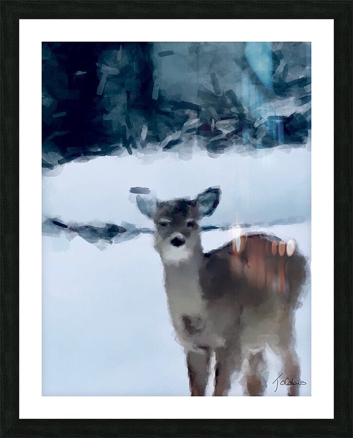 Cerf surpris  Picture Frame print