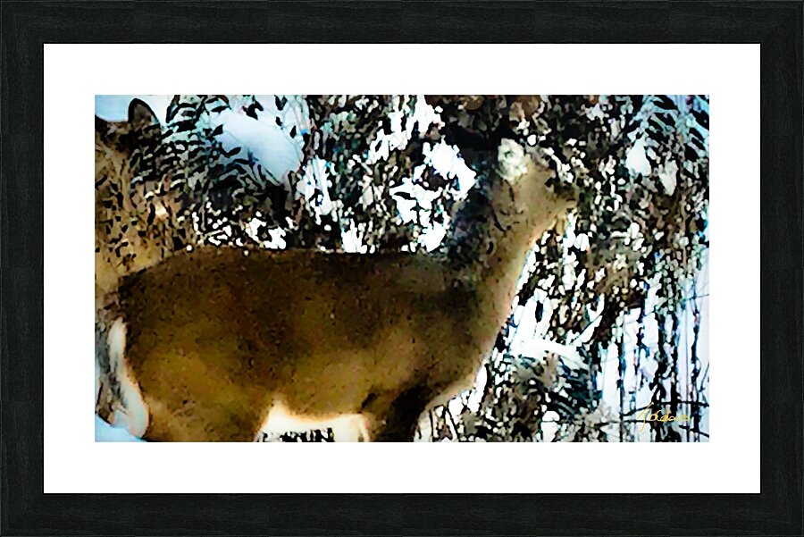 Cerf gourmand  Picture Frame print