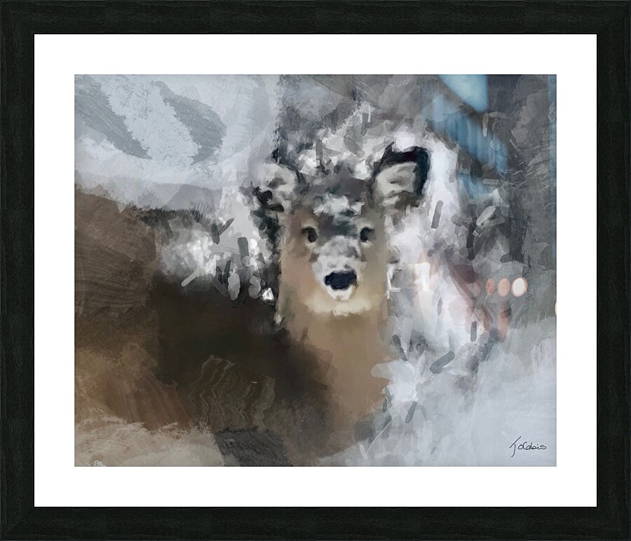 Jeune cerf Picture Frame print