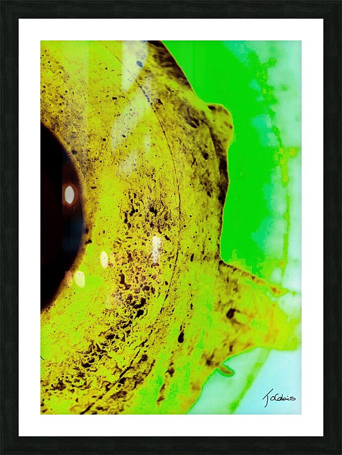 Orbite  Picture Frame print