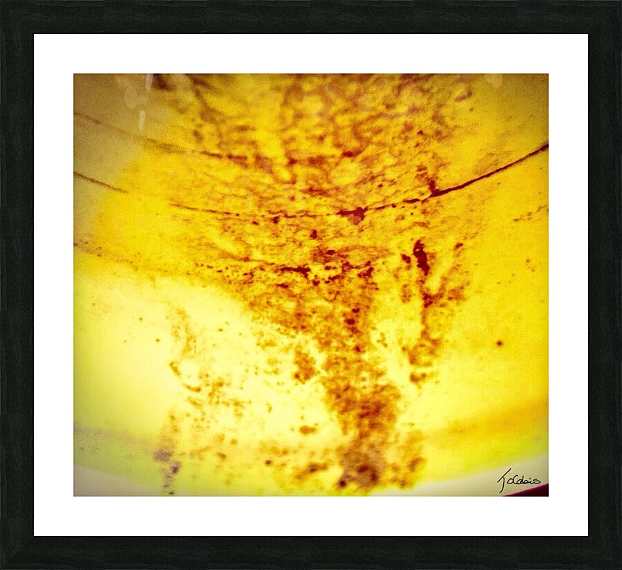 Cascades  Picture Frame print