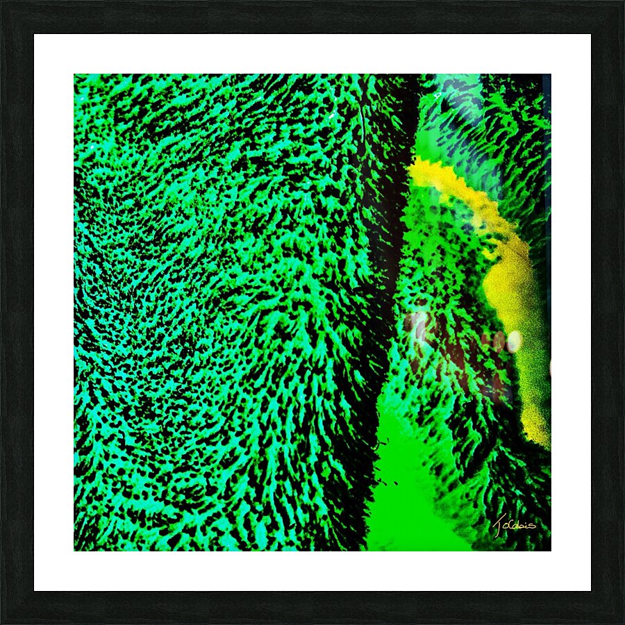 Toundra Picture Frame print