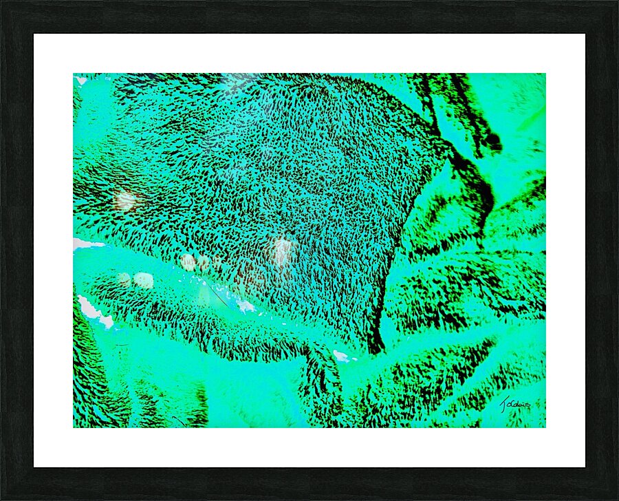 Foret boreale  Picture Frame print