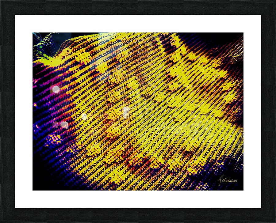 Pompons  Picture Frame print