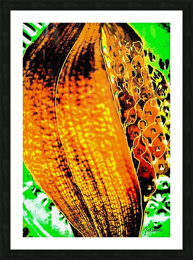 Abandon  Picture Frame print