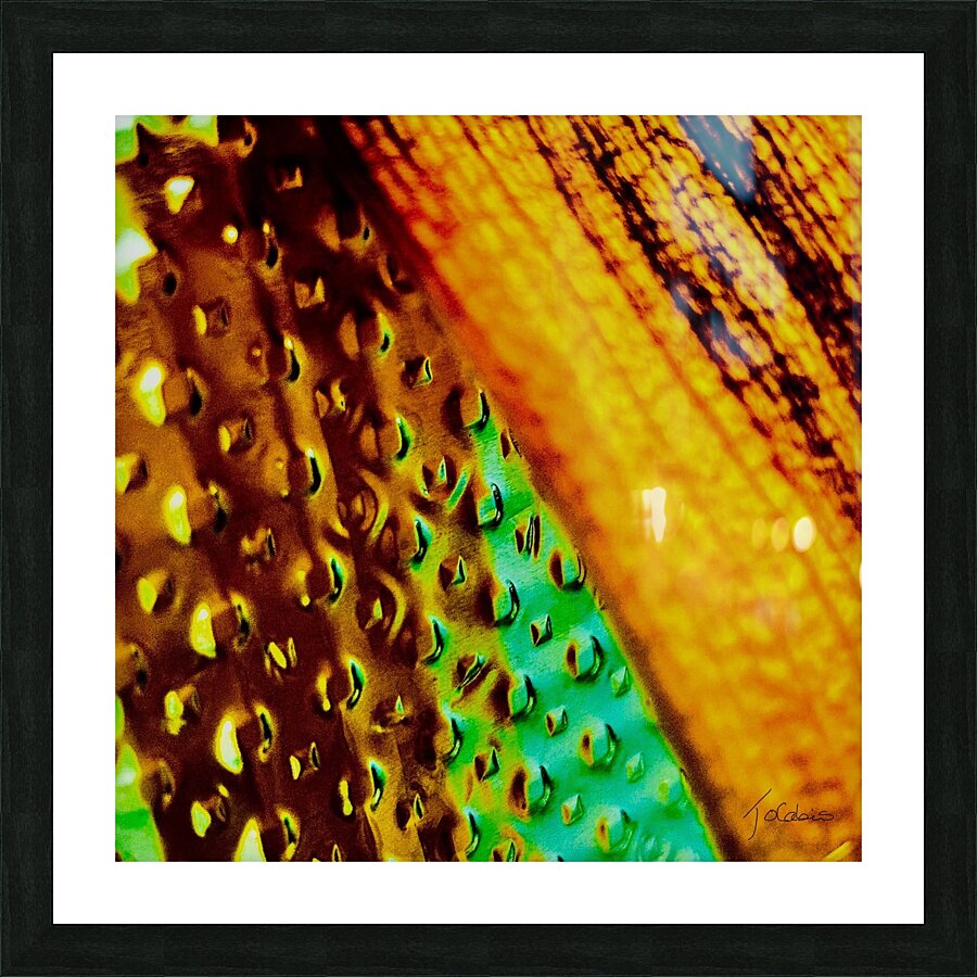 Reflets Picture Frame print