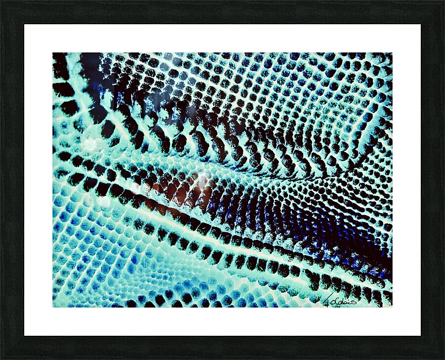En rangee  Picture Frame print