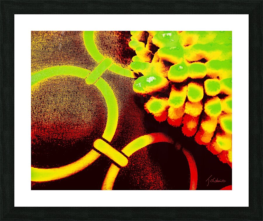 Rattachements Picture Frame print