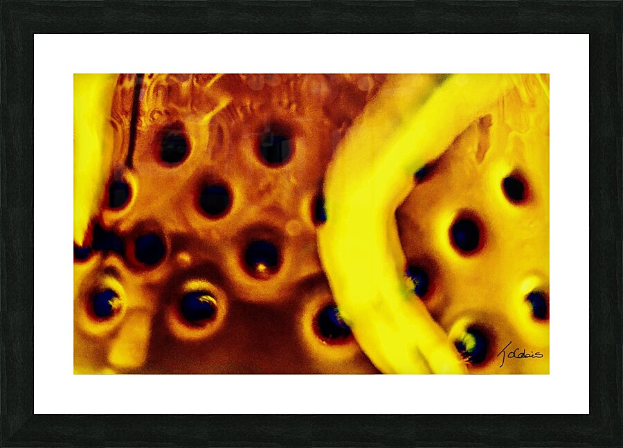 Trouee  Picture Frame print