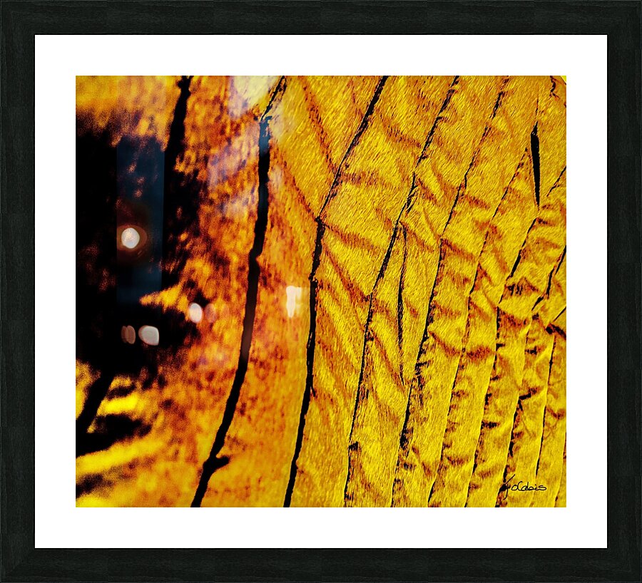 Dorures Picture Frame print