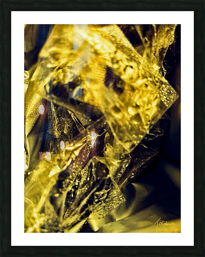 Feuille d’or Picture Frame print