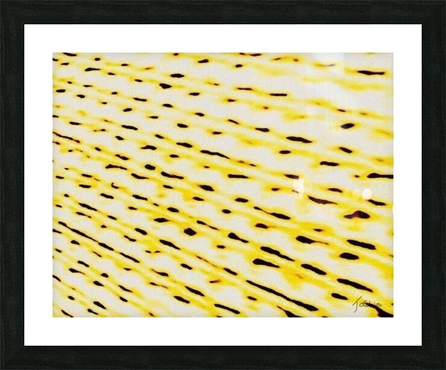 Trafic  Picture Frame print