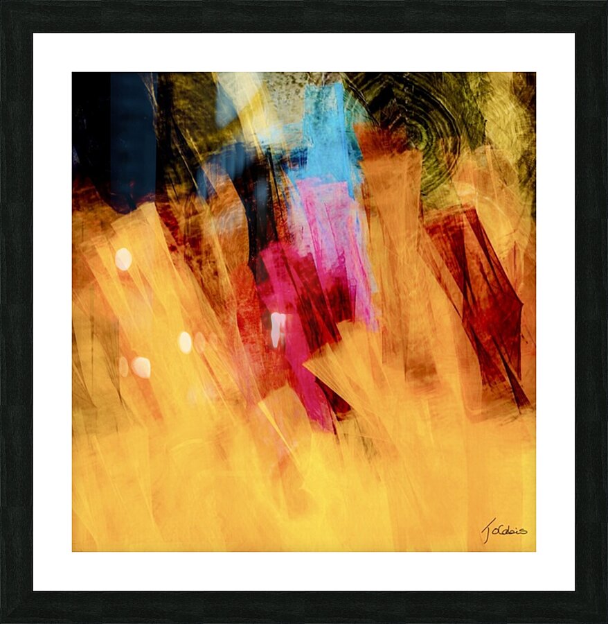 Tullerie  Picture Frame print