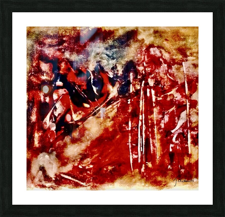 L’observation  Picture Frame print