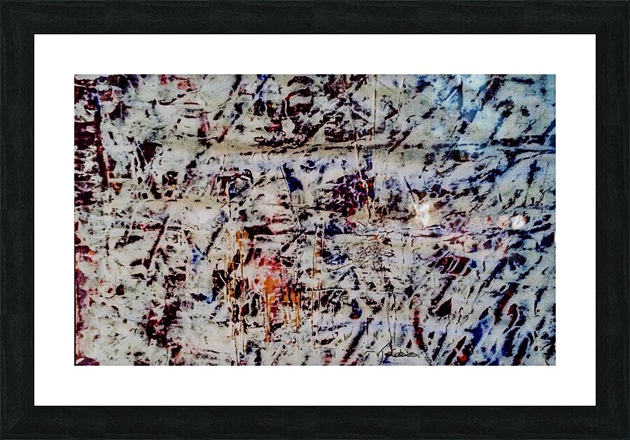Zebrette Picture Frame print