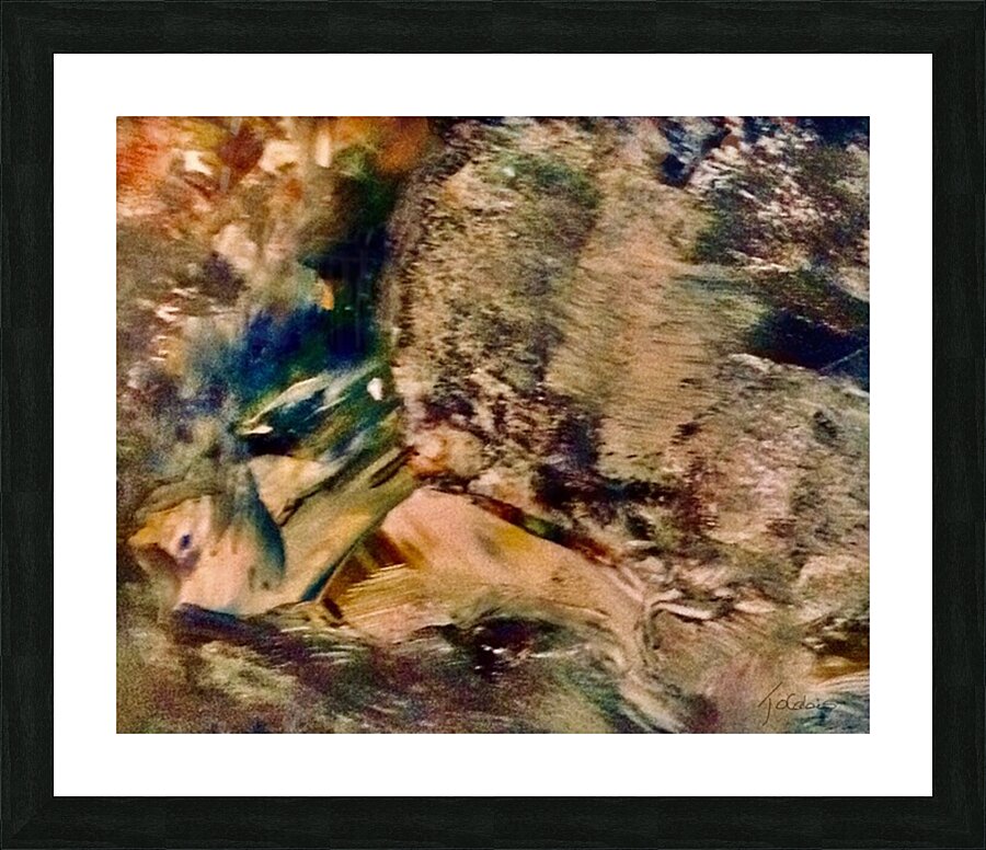 Le poisson effraye  Picture Frame print