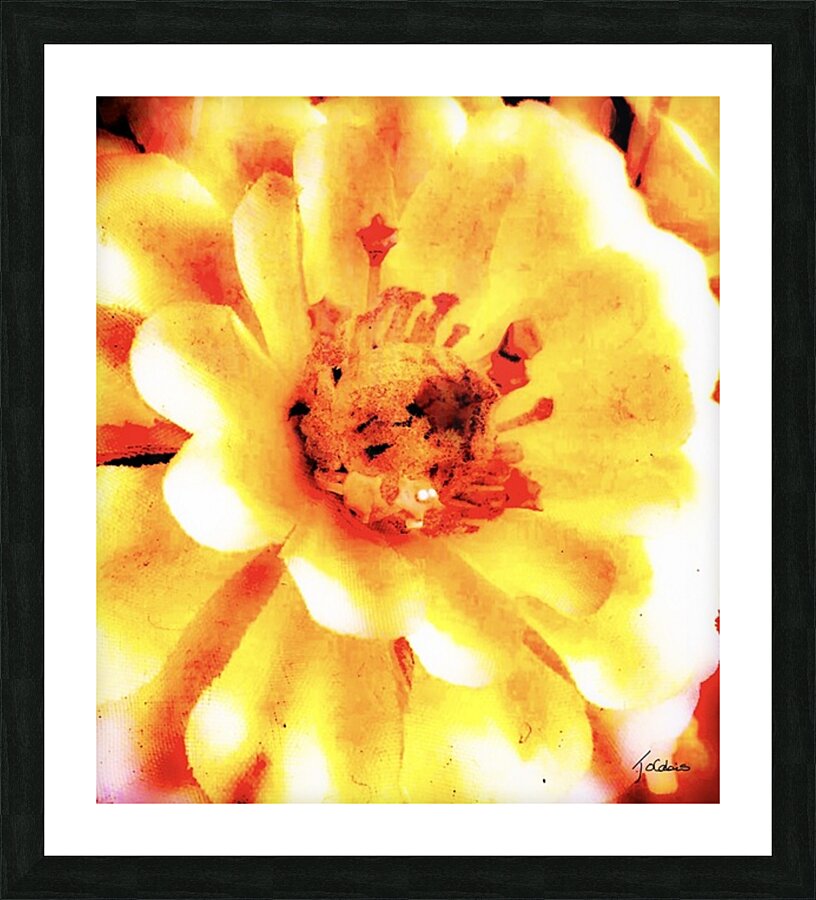 Fleur  Picture Frame print