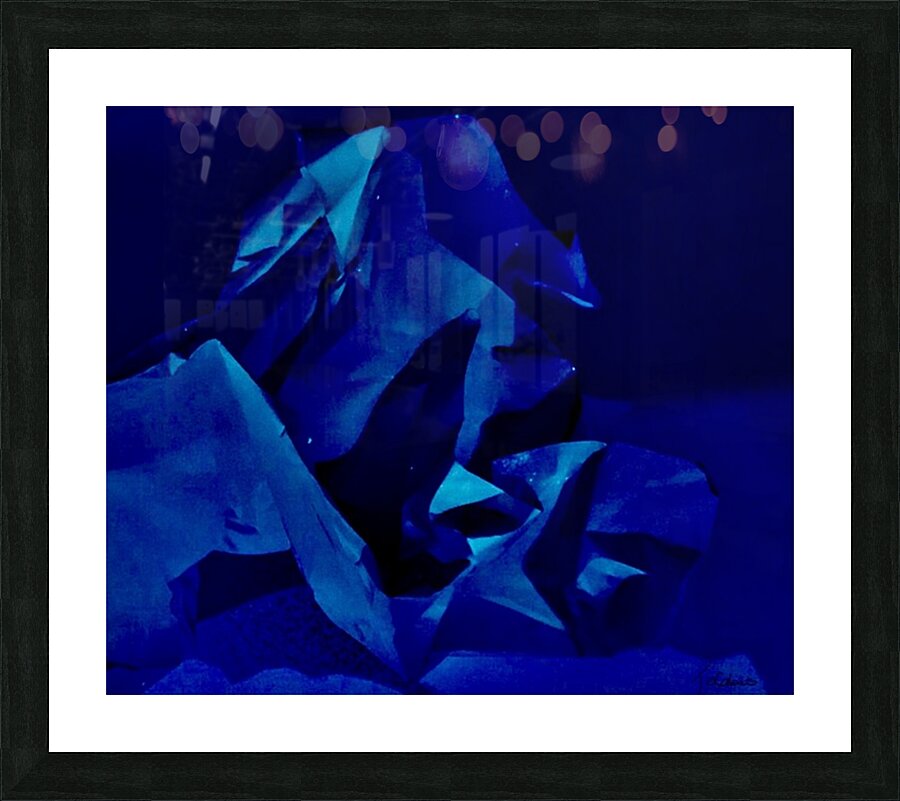 Cheval de mer Picture Frame print
