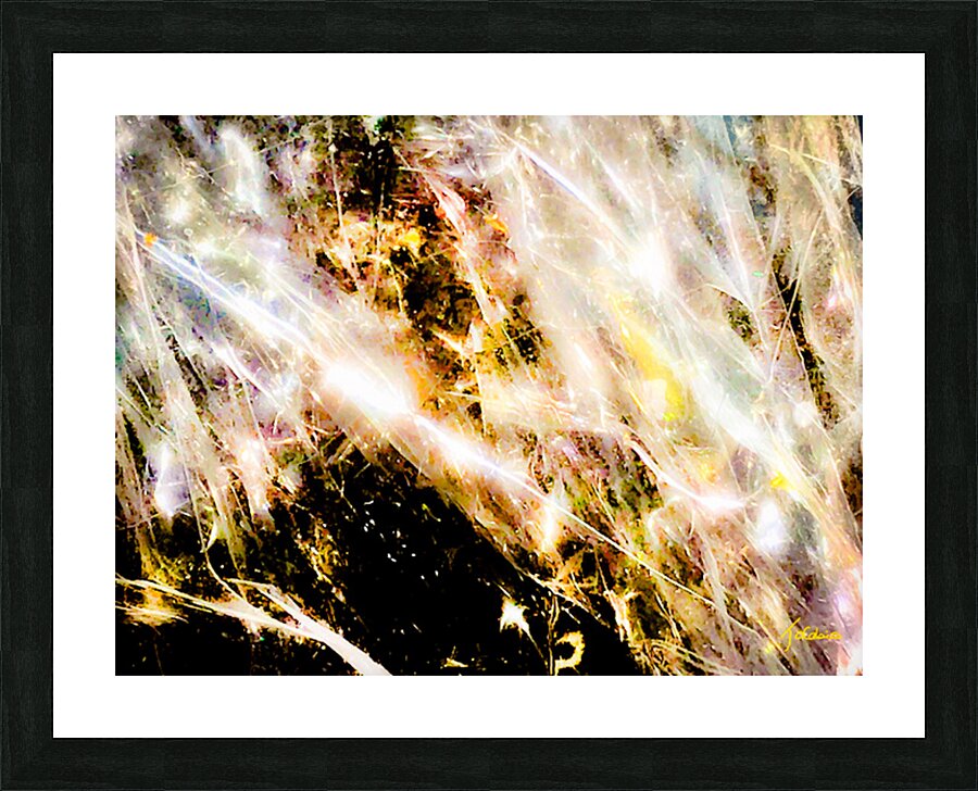 La fete  Picture Frame print