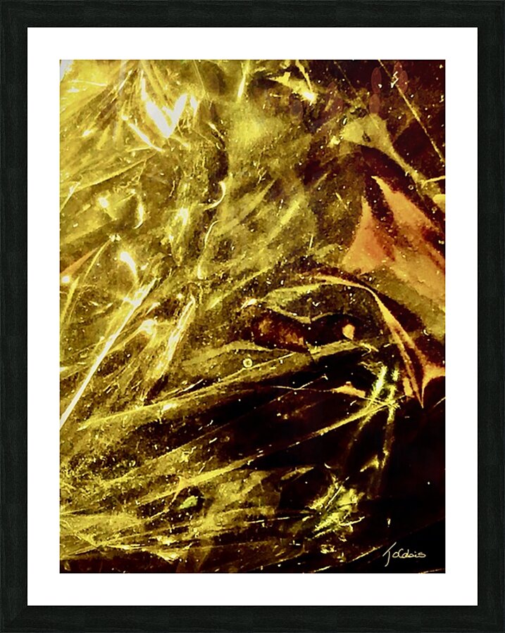 Abstraction  Picture Frame print